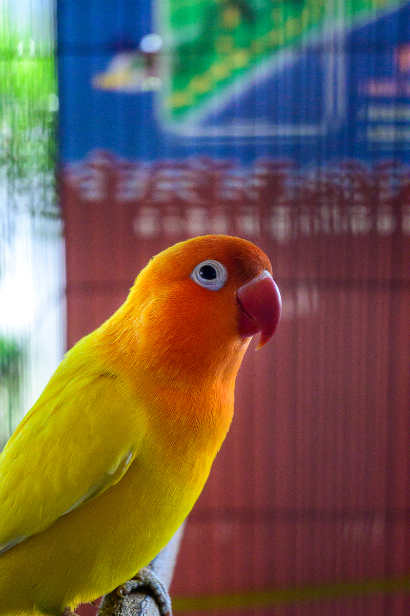 Click image for larger version

Name:	mr-sim-4.jpg
Views:	59
Size:	1.17 MB
ID:	158220