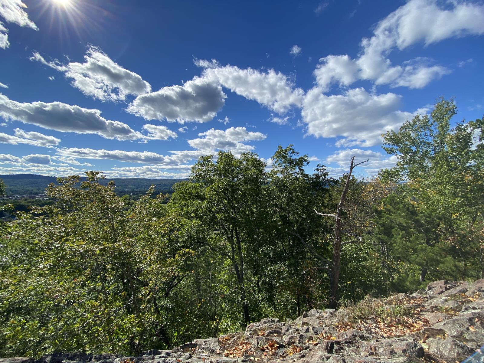 Click image for larger version

Name:	IMG_3225.JPG
Views:	46
Size:	468.8 KB
ID:	158232