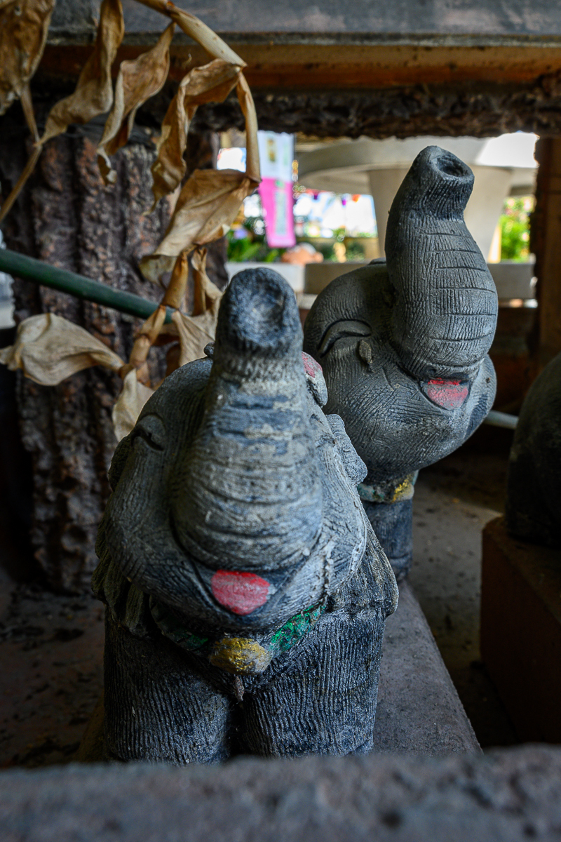 Click image for larger version

Name:	elephant-3.jpg
Views:	57
Size:	997.4 KB
ID:	158242