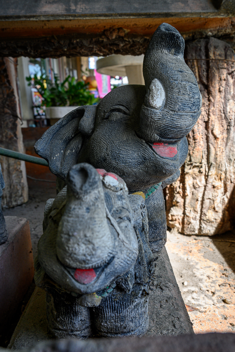 Click image for larger version

Name:	elephant-1.jpg
Views:	59
Size:	1.05 MB
ID:	158244