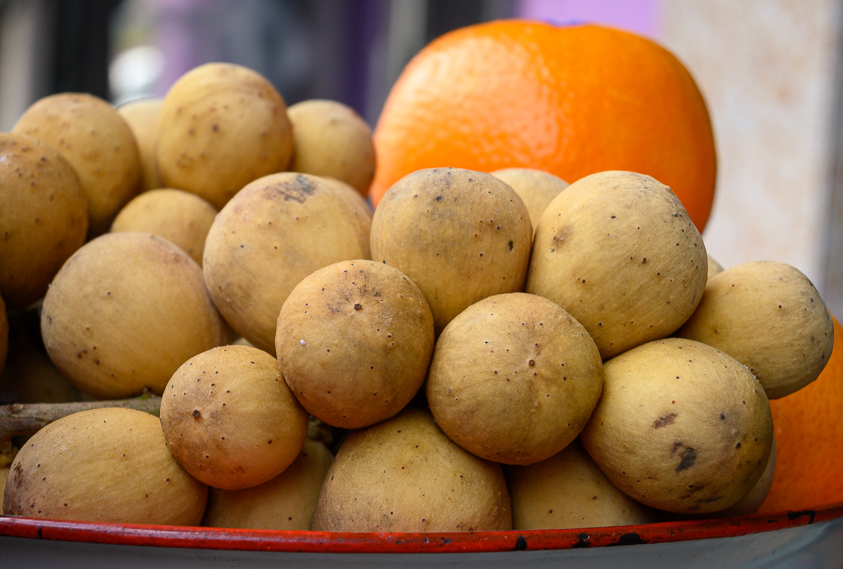 Click image for larger version

Name:	longan-1.jpg
Views:	75
Size:	843.5 KB
ID:	158311