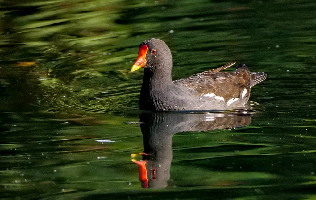 Click image for larger version

Name:	P1010670.jpg
Views:	38
Size:	226.6 KB
ID:	158391