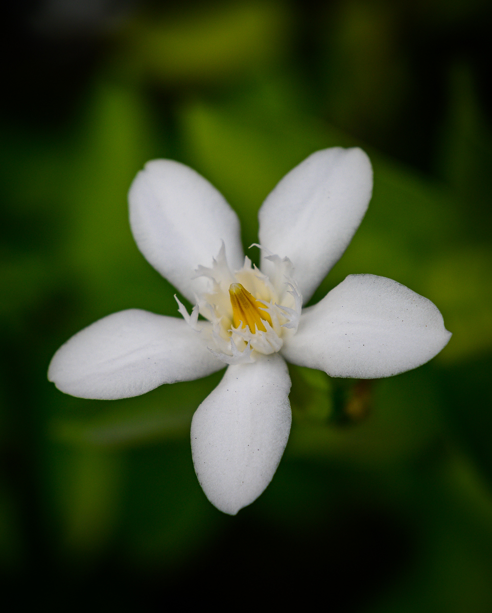 Click image for larger version

Name:	gelb-1.jpg
Views:	66
Size:	725.2 KB
ID:	158429