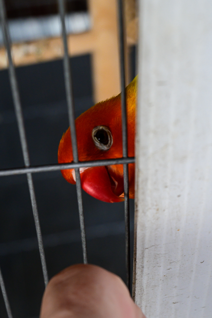 Click image for larger version

Name:	sim-again-5.jpg
Views:	47
Size:	437.3 KB
ID:	158523