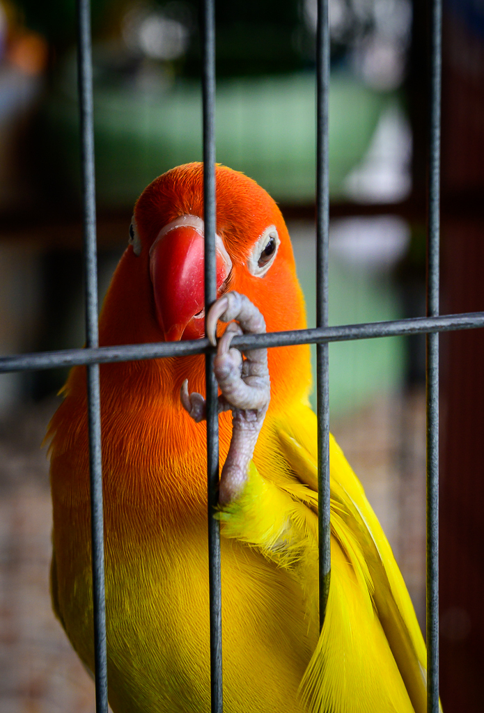 Click image for larger version

Name:	sim-again-4.jpg
Views:	41
Size:	691.8 KB
ID:	158524