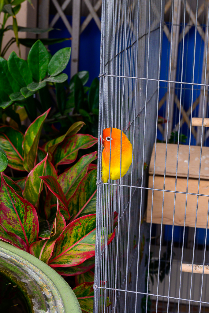 Click image for larger version

Name:	sim-again-6.jpg
Views:	42
Size:	835.6 KB
ID:	158525