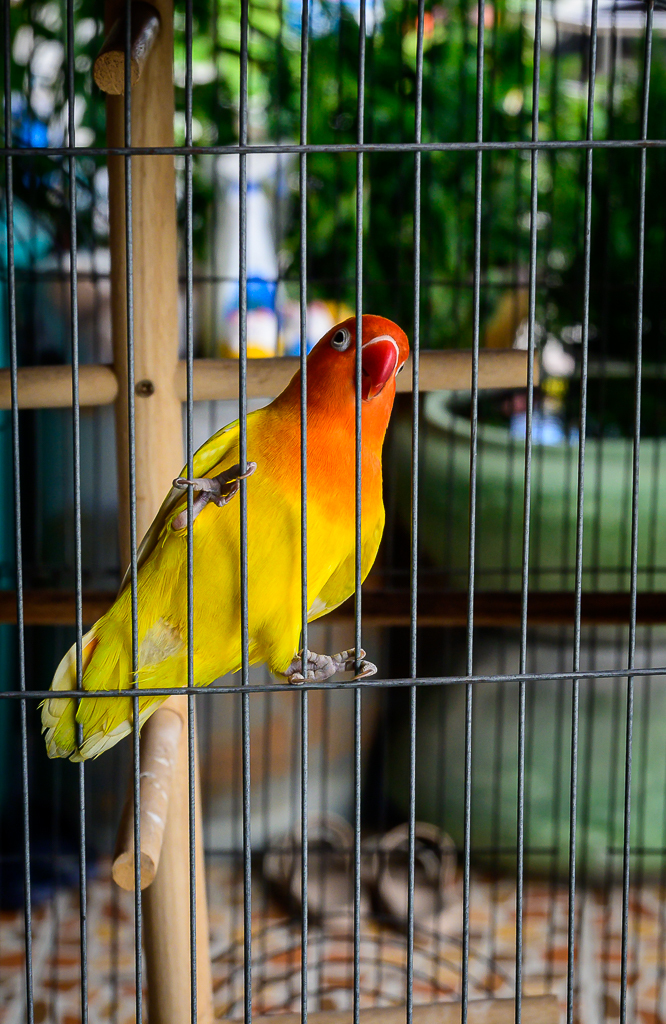 Click image for larger version

Name:	sim-again-2.jpg
Views:	42
Size:	745.9 KB
ID:	158526