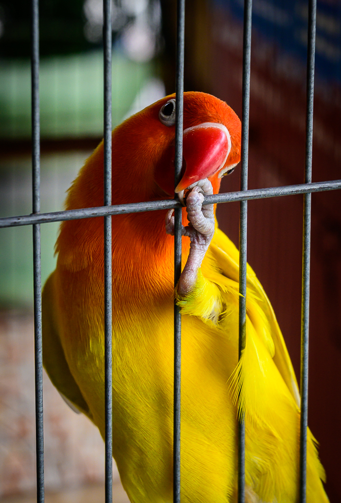 Click image for larger version

Name:	sim-again-3.jpg
Views:	39
Size:	691.6 KB
ID:	158527