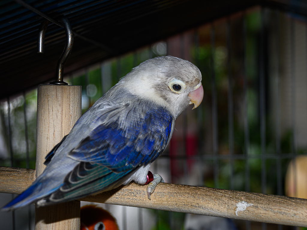 Click image for larger version

Name:	sim-and-friends-1.jpg
Views:	38
Size:	674.4 KB
ID:	158544