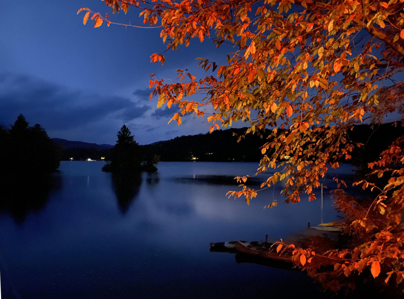 Click image for larger version

Name:	evening leaves.jpg
Views:	113
Size:	357.5 KB
ID:	158581