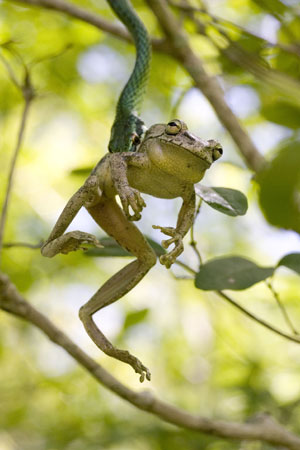 Rick Stanley - Young Wildlife Photographer of the Year - Overall Winner