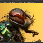 Affinity Photo for Windows screen showing focus merge function