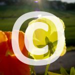 Copyright